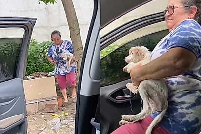 Senhora entra apressada no carro após subtrair cachorrinho mal cuidado e levar ele pra casa