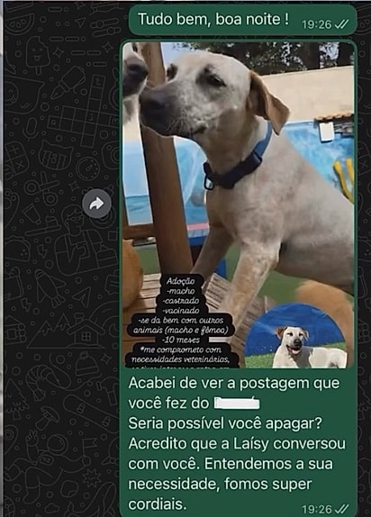 A antiga dona colocou ele para adoção.