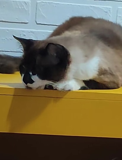 Moon parecia estar tramando algo.