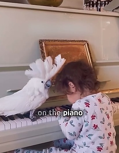 As duas tocavam piano juntas.