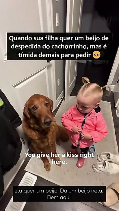 Os dois se despedem todos os dias.