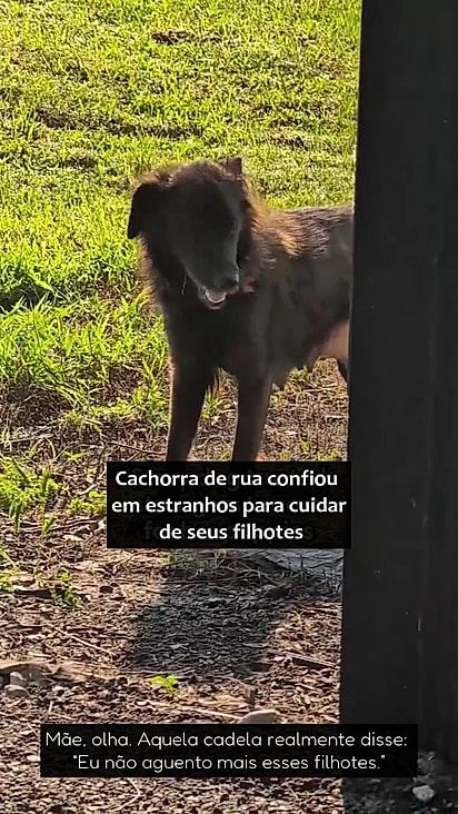 A cachorrinha sentiu que podia confiar no casal.
