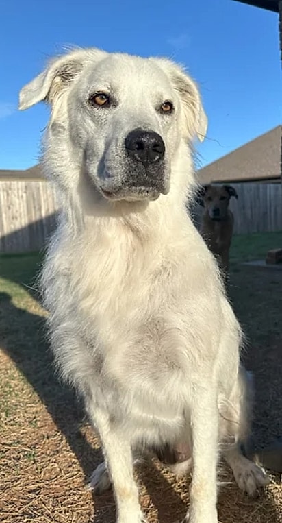 Buster em abril de 2024.