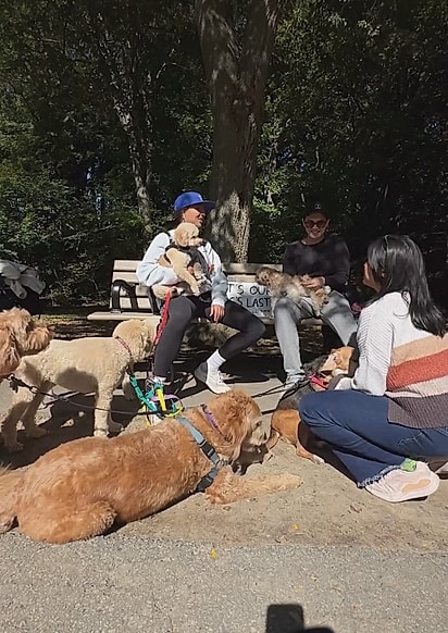 Dezenas de pessoas e cães pararam para passar um momento com Manolo.