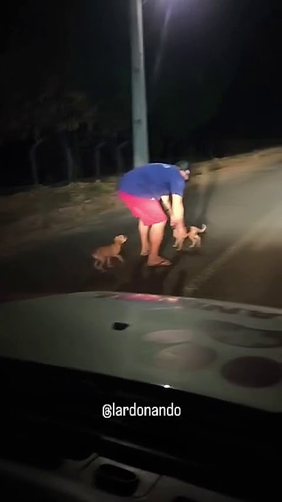 As duas estavam andando no meio da rua.