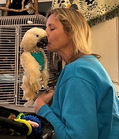 Cacatua Dino e sua cuidadora. 