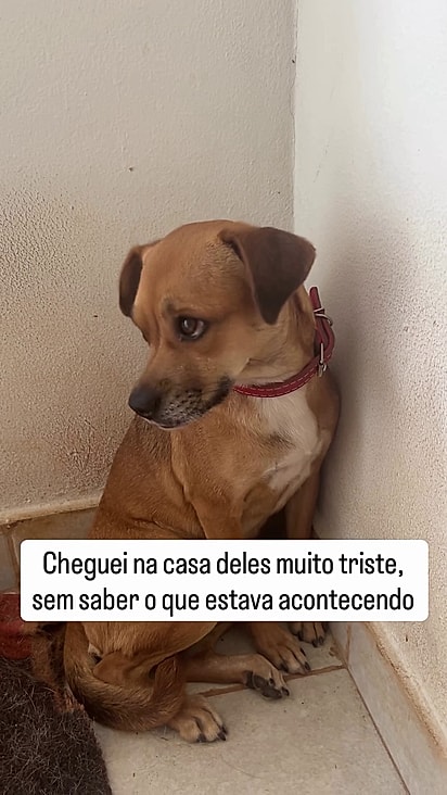 Ela não entendi o que havia acontecido.