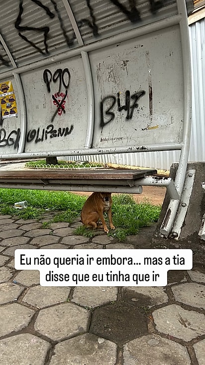 Apesar do medo que demonstrava ela se abriu para o resgate.