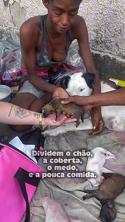 A cachorrinha vive nas ruas do RJ e é bem cuidada.