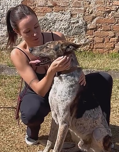 Luffy é um cão de porte médio para grande.