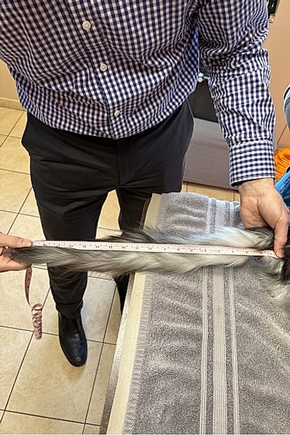 A cauda dele tem 46,99 centímetros.
