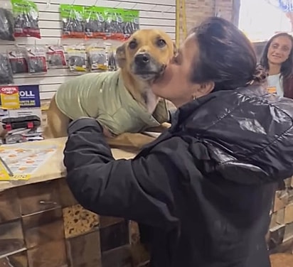 O Caramelo é um cãozinho amoroso.