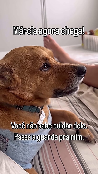 O cão se preocupa com Pedro.