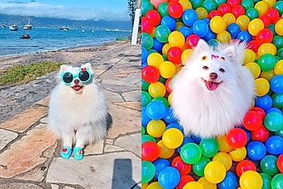 Ela é muito especial, amorosa, simpática e feliz!
