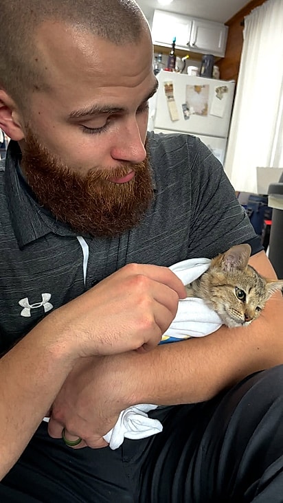 O gatinho Chip.