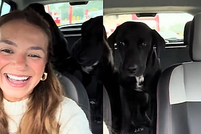 Mulher sai para comprar pão e acaba voltando para casa muito bem acompanhada