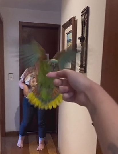 Amora sendo obrigada a se exercitar.