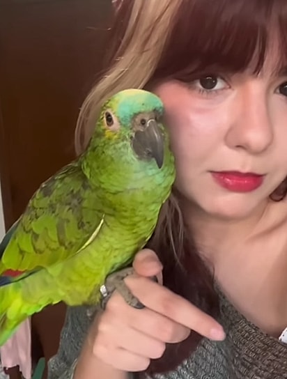 Papagaia Amora e Bruna.