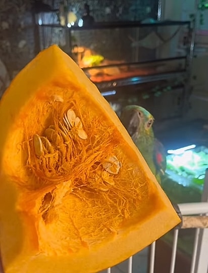Amora adora comer legumes e frutas.