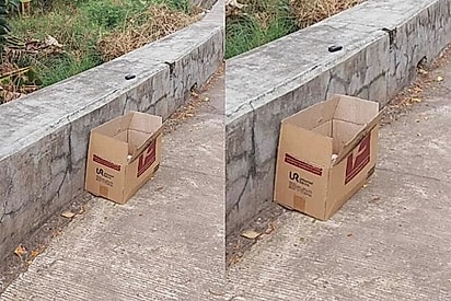 Sons estranhos vinhamde uma caixa de papelão ao lado da ponte.
