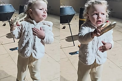 Mini advogada de doguinhos: Bebe sai em defesa de cachorro após tia brigar com pet