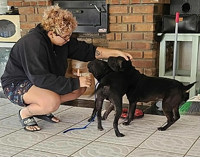 Aos poucos, eles estão se recuperando.
