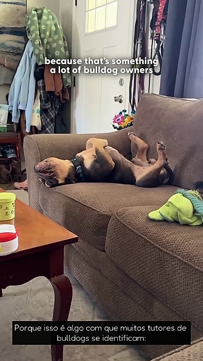 Hamlet ganhou um lar seguro e amoroso.