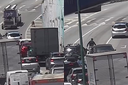 Parou o trânsito: Oficial toma linda atitude ao perceber cachorrinho com dificuldade para atravessar avenida movimentada em BC