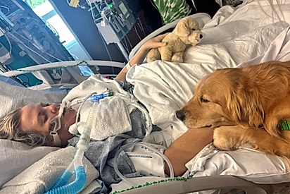 Mulher entra em coma após falência de órgãos - mas quando golden retriever toca sua mão, o inimaginável acontece.