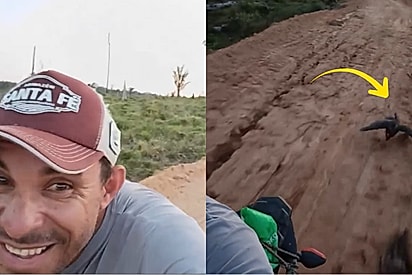 Pássaro espera moto acelerar para correr atrás e velocidade impressiona.