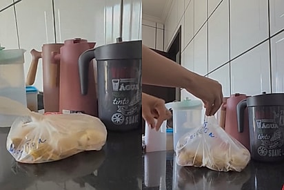 “Achei que era um alienígena”: mulher vê sacola de ovos se mexendo e descobre lindo rostinho amarelo