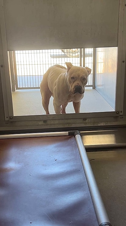 Korra costumava ter uma família.