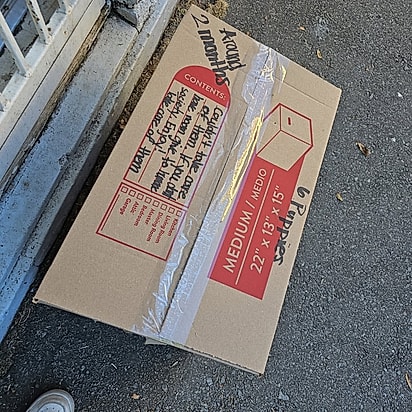 O bilhete na caixa era verdadeiro.