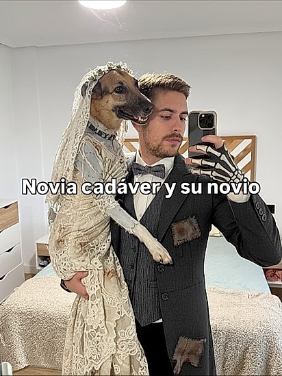 A Noiva Cádaver também é um clássico na data.