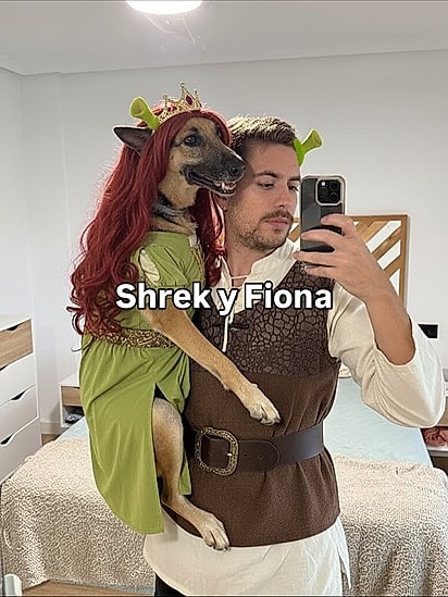 Para quem não gosta de terror, Shrek e Fiona sempre estão em alta.