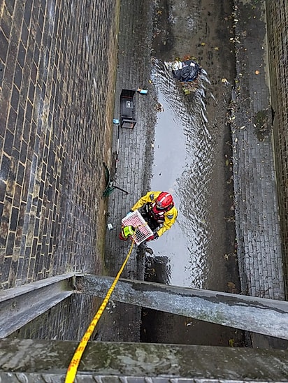 Os bombeiros contaram com o apoio da RSPCA (Royal Society for the Prevention of Cruelty to Animals) durante o resgate.