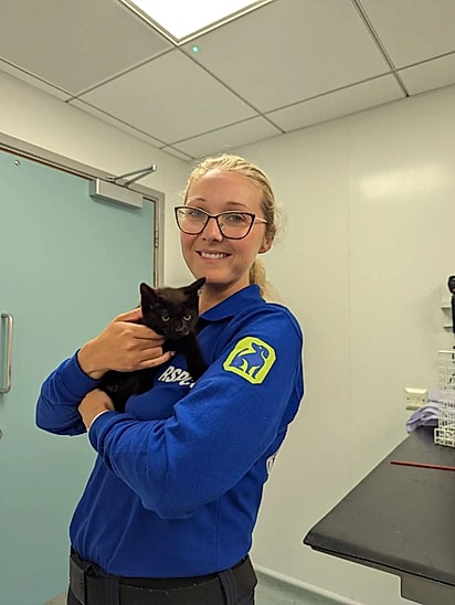 A gatinha está sob os cuidados da RSPCA.