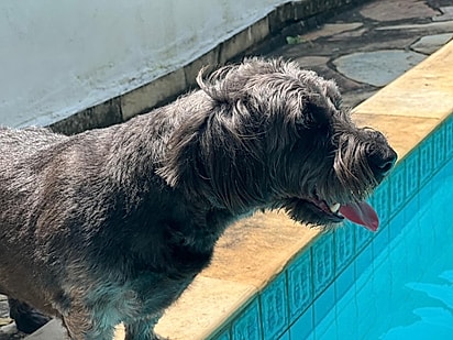 Hoje, Maria Alice tem uma família amorosa e responsável.