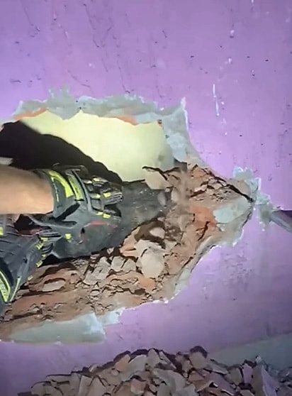 O cachorro Bob ficou preso entre duas paredes de material, sem conseguir se mover.