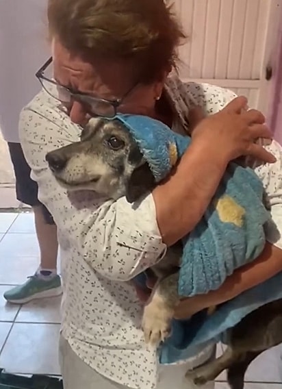 A tutora se emocionou ao ter Bob, são e salvo, de volta em seus braços.