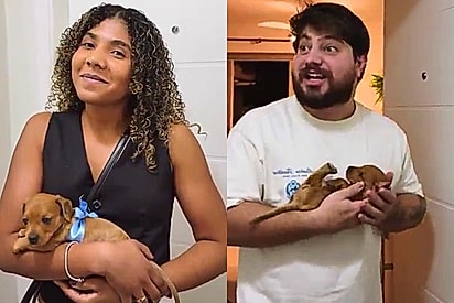 Marido estava desanimado ao receber presente, até descobrir que era o Salsicha de seus sonhos 