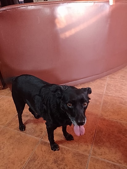 Hoje Joaninha vive feliz, cercada de amor e carinho na nova família.