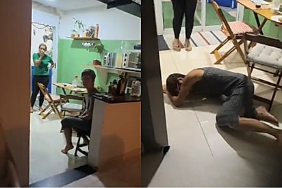 Avó se joga do chão de emoção ao rever seu cachorro que estava desaparecido e vídeo emociona.