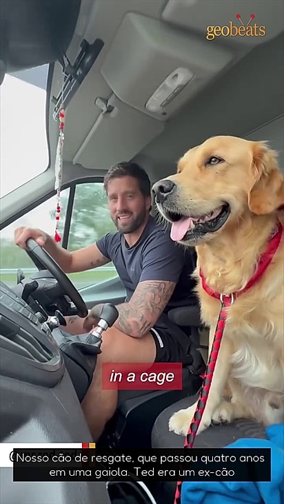 Um golden chamado Buddy ajudou Teddy a ganhar confiança.