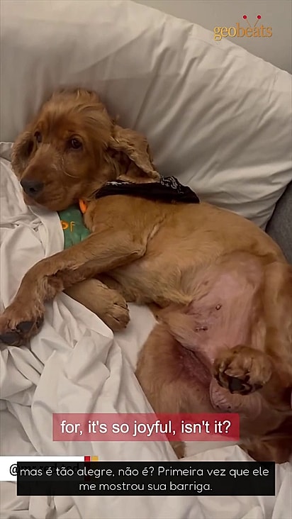 Atualmente ele adora dormir na cama com a família.