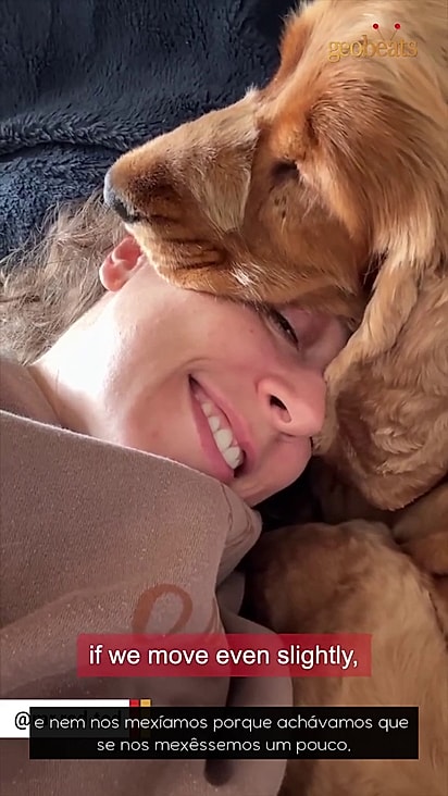 Teddy aprendeu a confiar nos tutores.