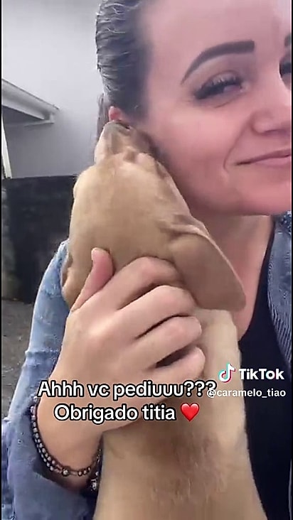 A tutora de Tob concordou com as visitas.