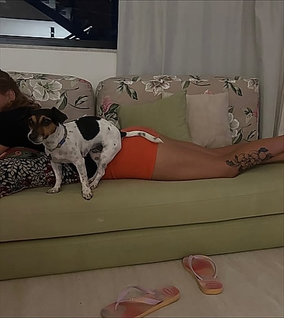 Suzi adora sentar nos seus humanos também.