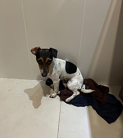 Suzi sentada na roupa que encontrou no chão.