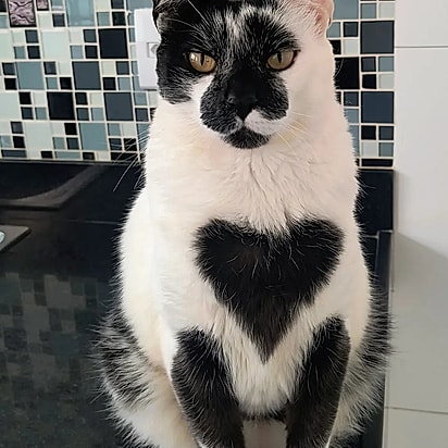 Thor ganhou a mancha com o passar do tempo.